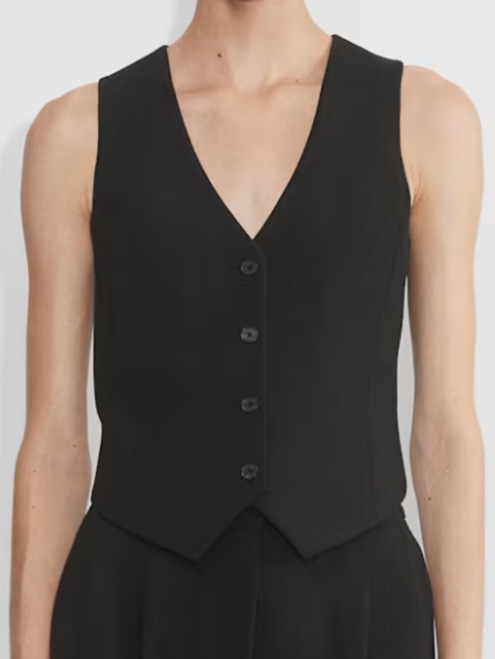 Babaton Aritzia Deniro Vest : 2